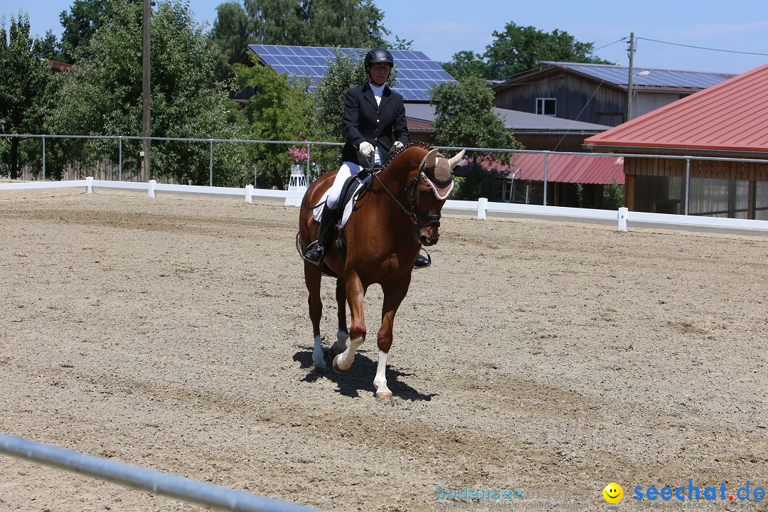 Reitturnier auf dem Ziegelhof in Dettingen-Wallhausen am Bodensee, 22.06.20