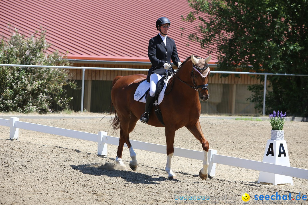 Reitturnier auf dem Ziegelhof in Dettingen-Wallhausen am Bodensee, 22.06.20