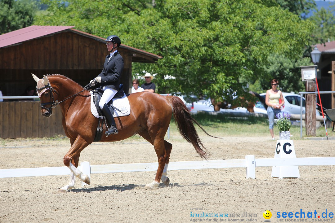 Reitturnier auf dem Ziegelhof in Dettingen-Wallhausen am Bodensee, 22.06.20