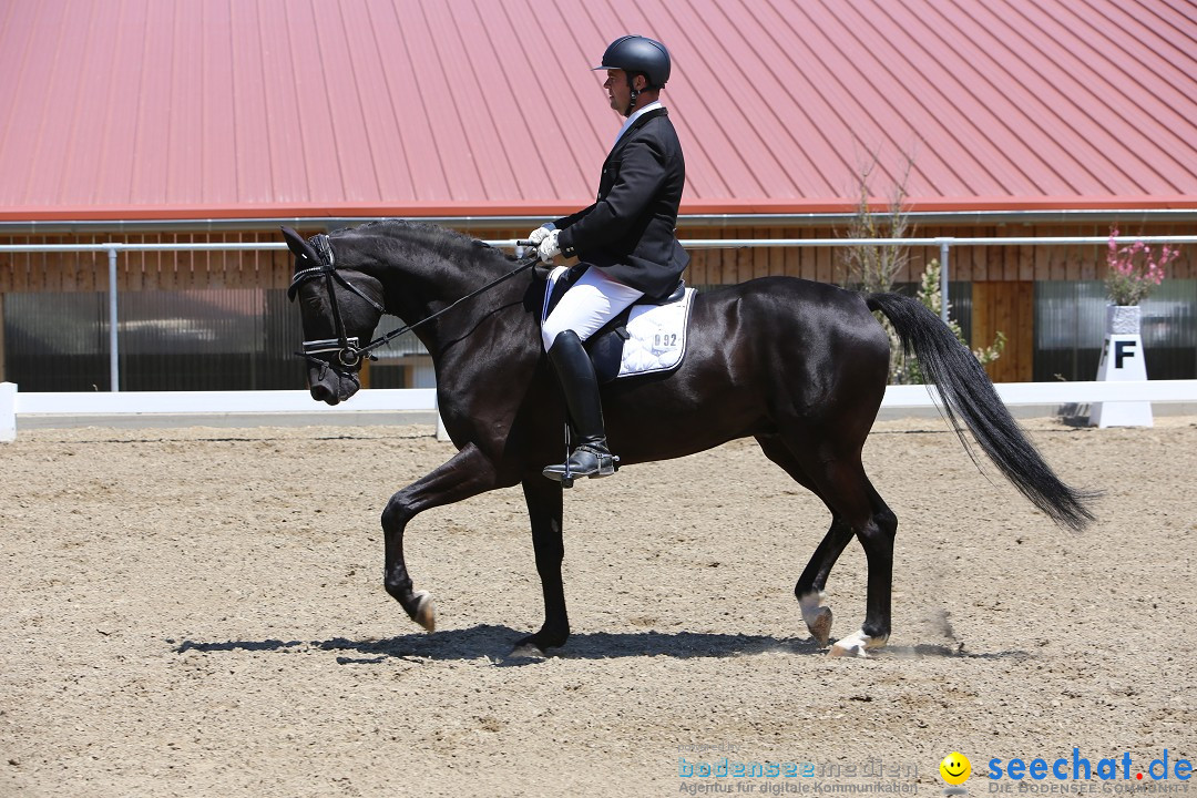 Reitturnier auf dem Ziegelhof in Dettingen-Wallhausen am Bodensee, 22.06.20