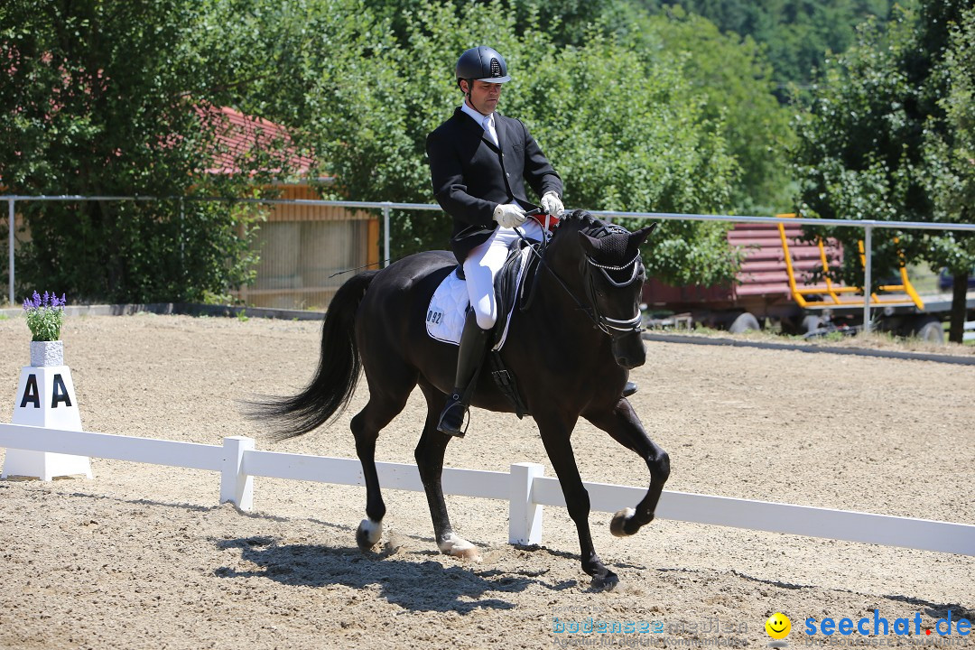 Reitturnier auf dem Ziegelhof in Dettingen-Wallhausen am Bodensee, 22.06.20