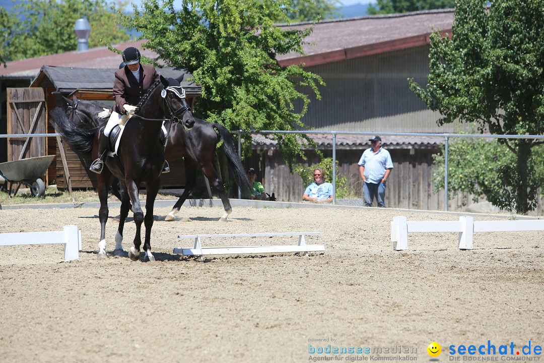 Reitturnier auf dem Ziegelhof in Dettingen-Wallhausen am Bodensee, 22.06.20