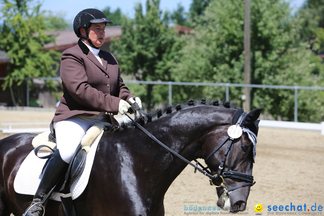 Reitturnier auf dem Ziegelhof in Dettingen-Wallhausen am Bodensee, 22.06.20