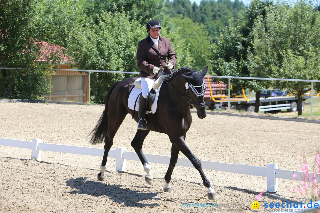 Reitturnier auf dem Ziegelhof in Dettingen-Wallhausen am Bodensee, 22.06.20