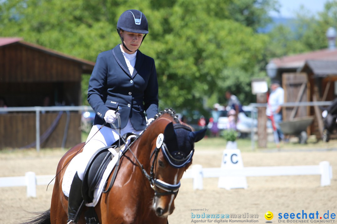 Reitturnier auf dem Ziegelhof in Dettingen-Wallhausen am Bodensee, 22.06.20