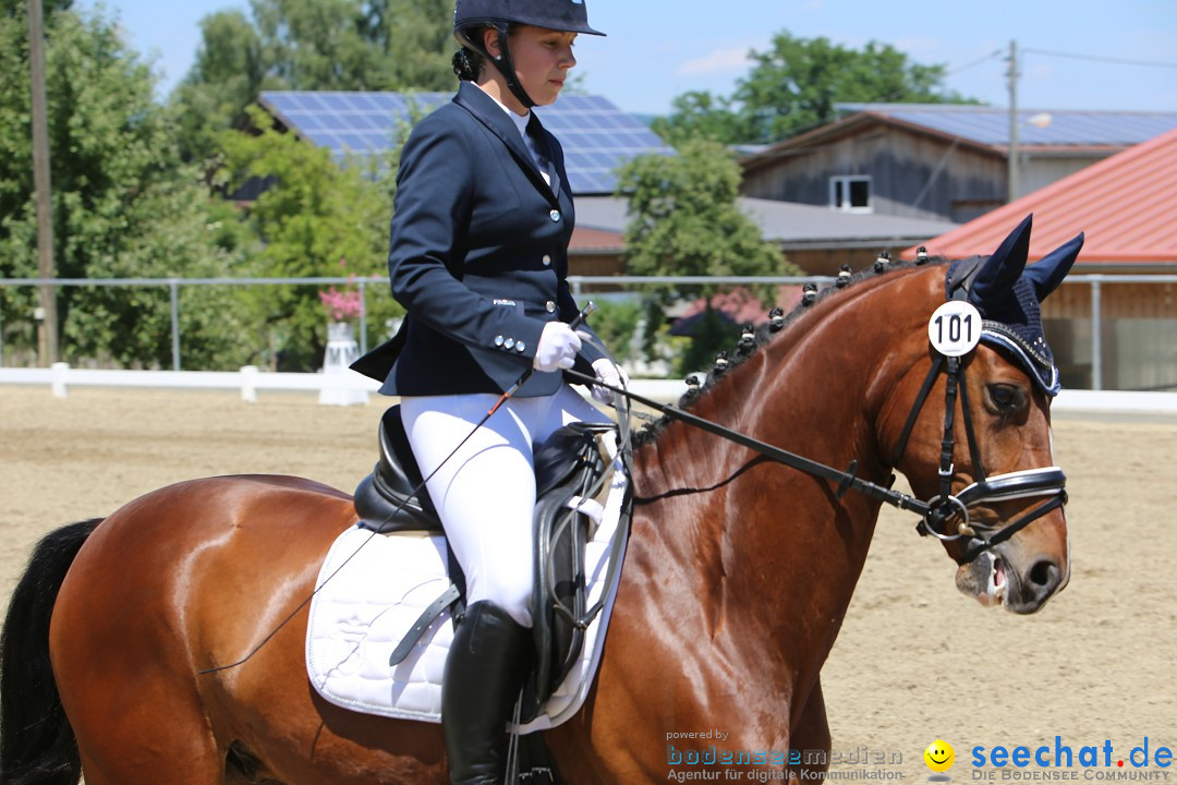 Reitturnier auf dem Ziegelhof in Dettingen-Wallhausen am Bodensee, 22.06.20