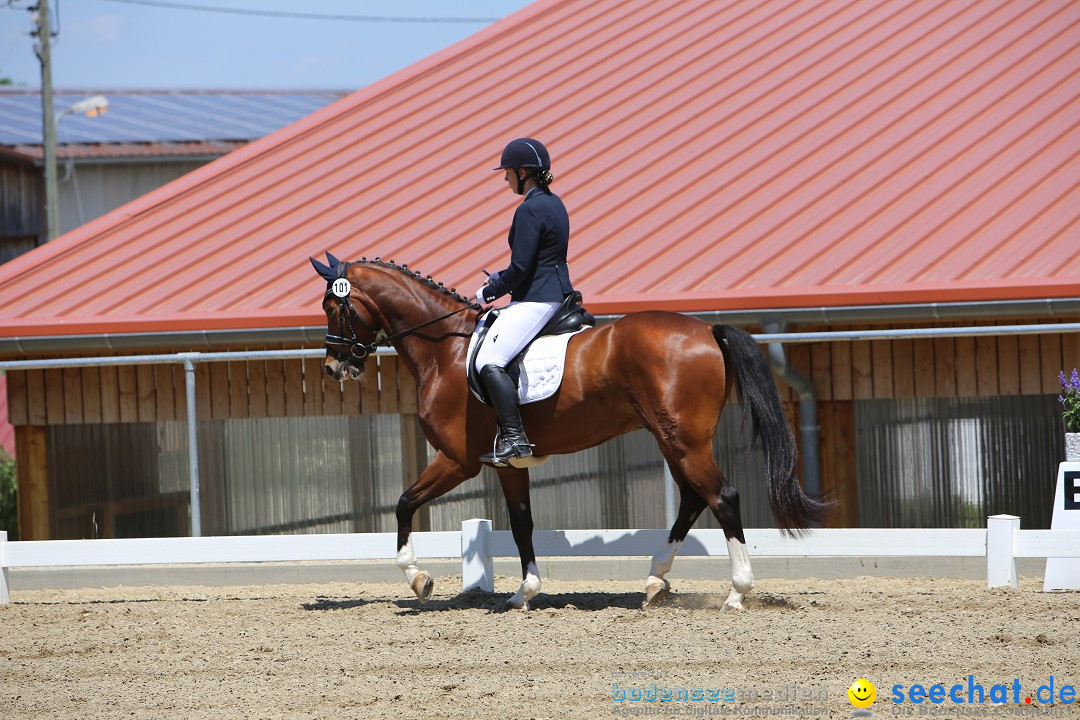 Reitturnier auf dem Ziegelhof in Dettingen-Wallhausen am Bodensee, 22.06.20