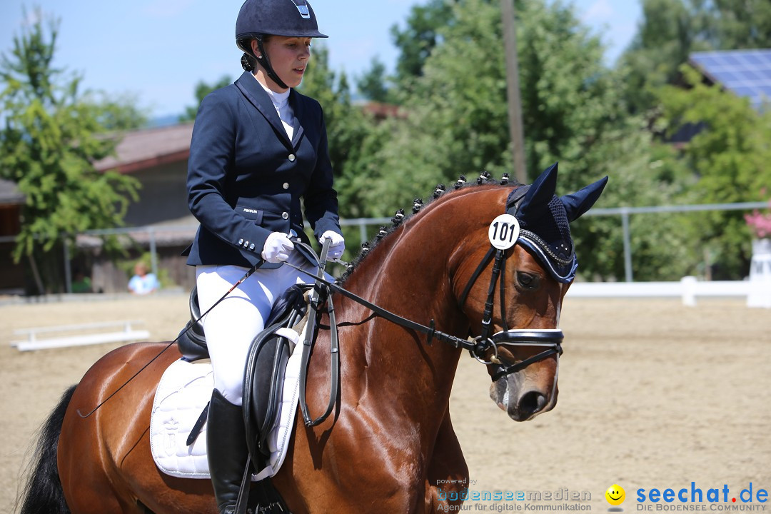 Reitturnier auf dem Ziegelhof in Dettingen-Wallhausen am Bodensee, 22.06.20