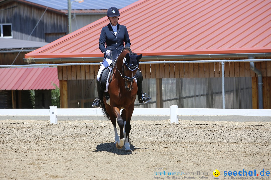 Reitturnier auf dem Ziegelhof in Dettingen-Wallhausen am Bodensee, 22.06.20