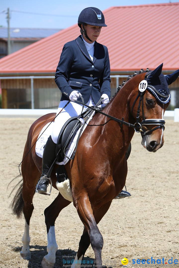 Reitturnier auf dem Ziegelhof in Dettingen-Wallhausen am Bodensee, 22.06.20