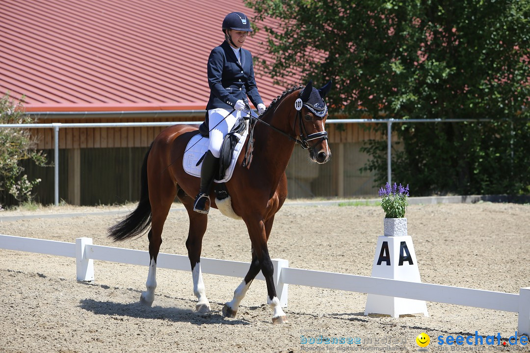 Reitturnier auf dem Ziegelhof in Dettingen-Wallhausen am Bodensee, 22.06.20