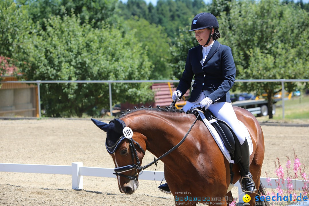 Reitturnier auf dem Ziegelhof in Dettingen-Wallhausen am Bodensee, 22.06.20