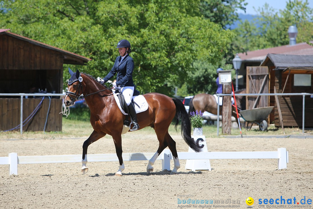 Reitturnier auf dem Ziegelhof in Dettingen-Wallhausen am Bodensee, 22.06.20