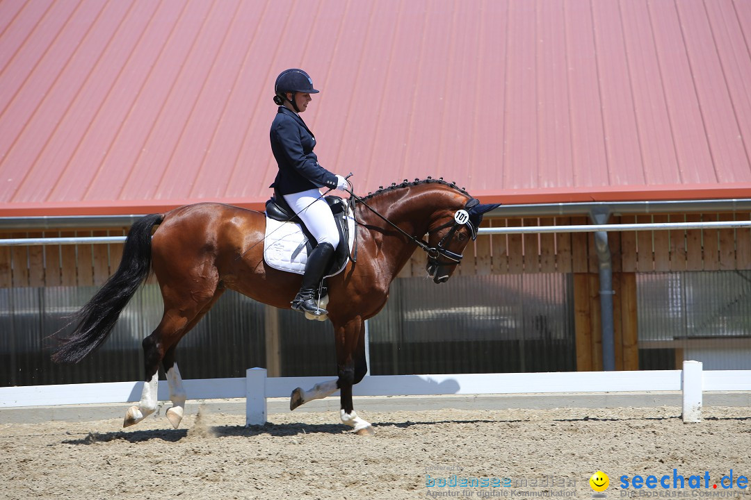 Reitturnier auf dem Ziegelhof in Dettingen-Wallhausen am Bodensee, 22.06.20