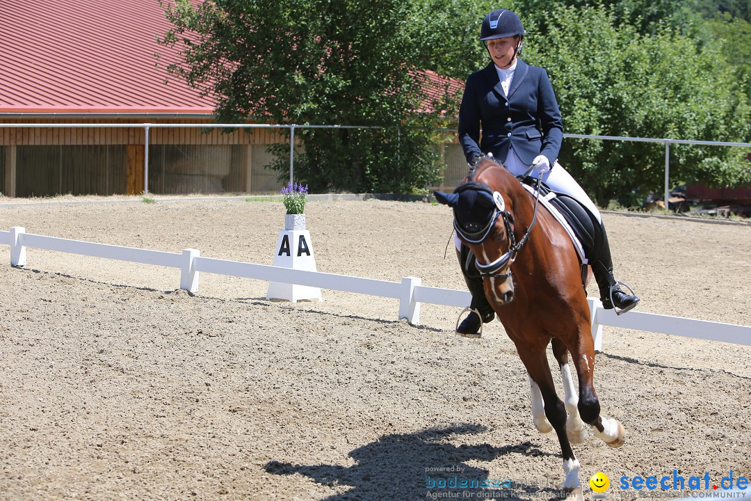 Reitturnier auf dem Ziegelhof in Dettingen-Wallhausen am Bodensee, 22.06.20