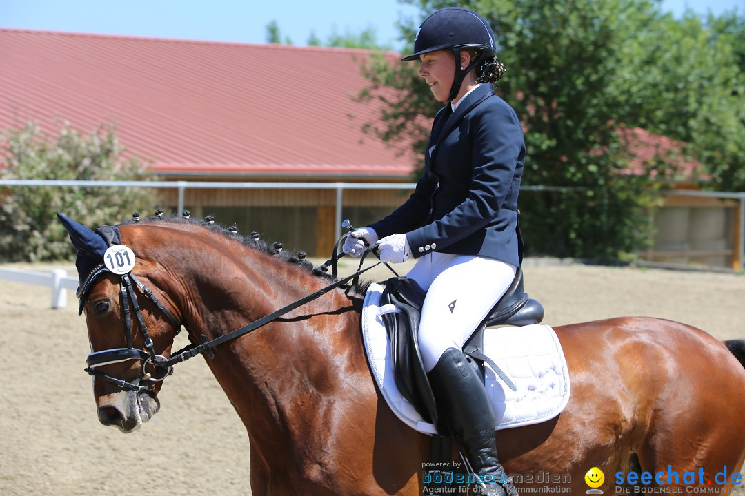 Reitturnier auf dem Ziegelhof in Dettingen-Wallhausen am Bodensee, 22.06.20