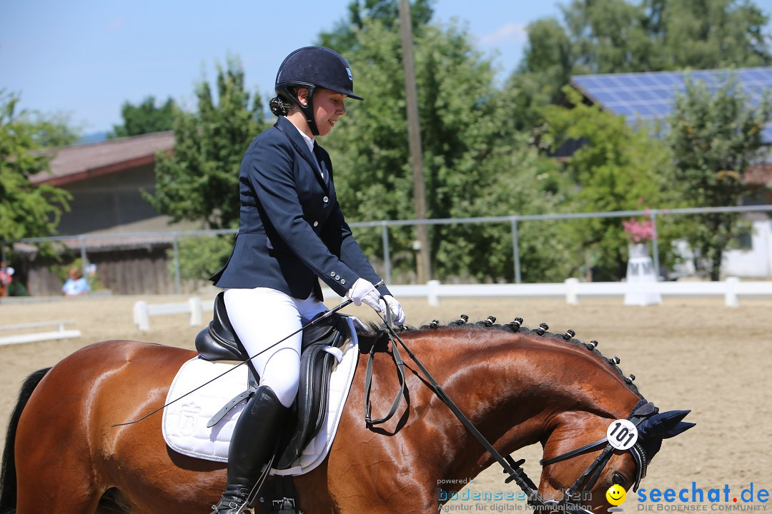 Reitturnier auf dem Ziegelhof in Dettingen-Wallhausen am Bodensee, 22.06.20