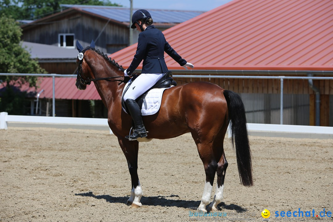 Reitturnier auf dem Ziegelhof in Dettingen-Wallhausen am Bodensee, 22.06.20