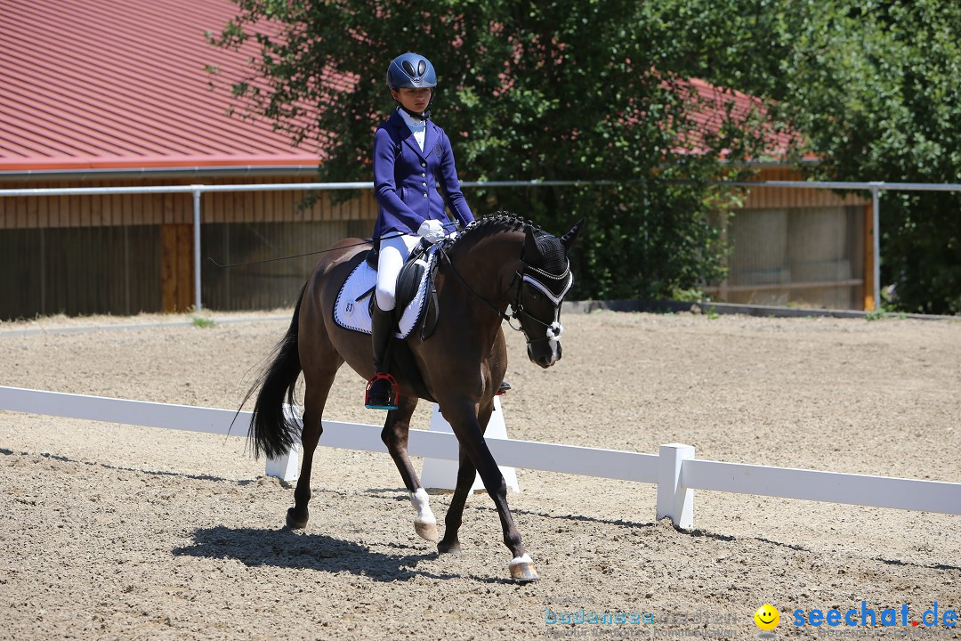 Reitturnier auf dem Ziegelhof in Dettingen-Wallhausen am Bodensee, 22.06.20