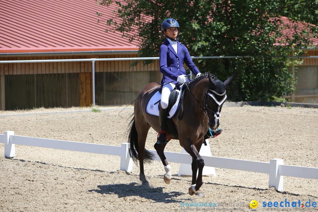 Reitturnier auf dem Ziegelhof in Dettingen-Wallhausen am Bodensee, 22.06.20