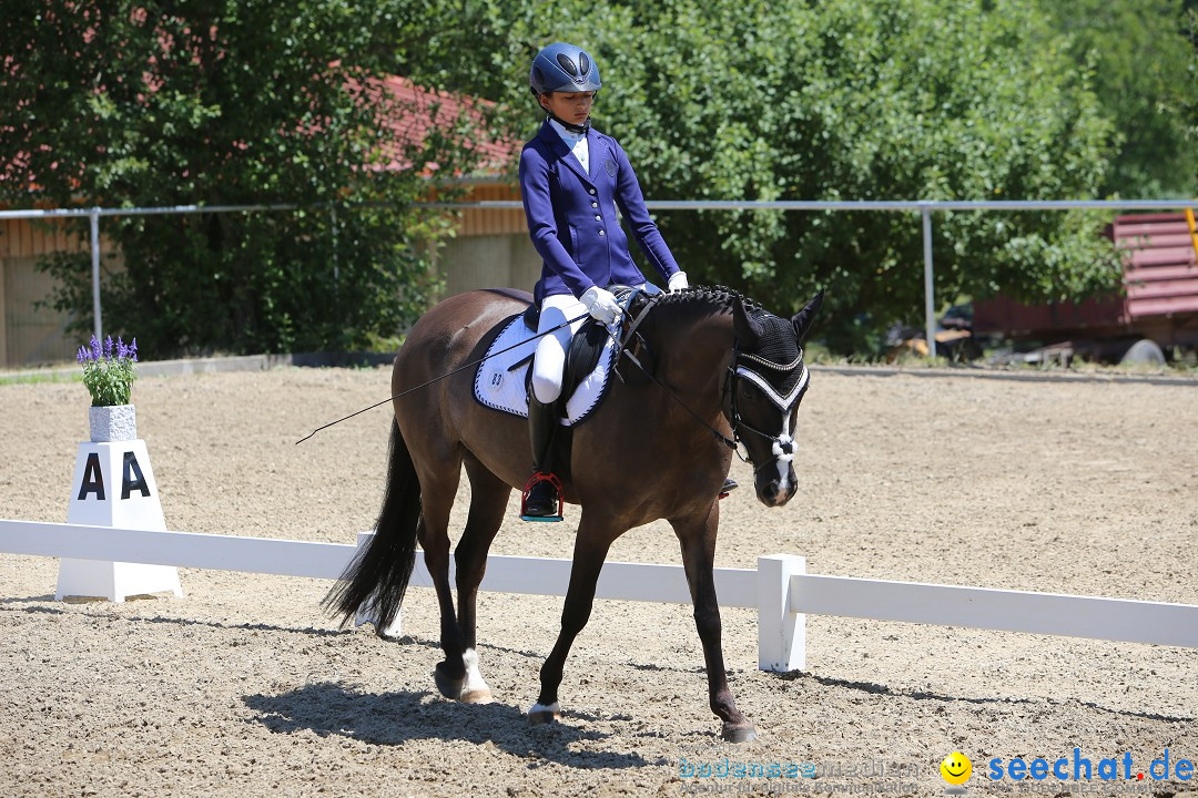 Reitturnier auf dem Ziegelhof in Dettingen-Wallhausen am Bodensee, 22.06.20