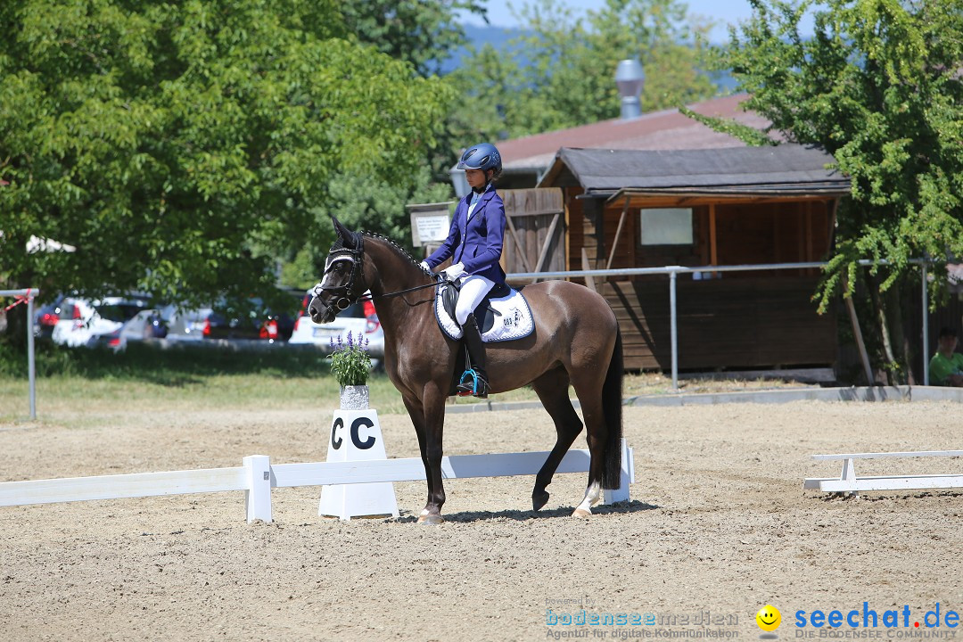 Reitturnier auf dem Ziegelhof in Dettingen-Wallhausen am Bodensee, 22.06.20