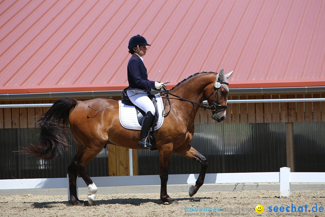 Reitturnier auf dem Ziegelhof in Dettingen-Wallhausen am Bodensee, 22.06.20