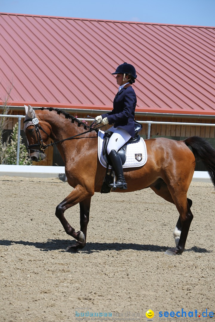 Reitturnier auf dem Ziegelhof in Dettingen-Wallhausen am Bodensee, 22.06.20