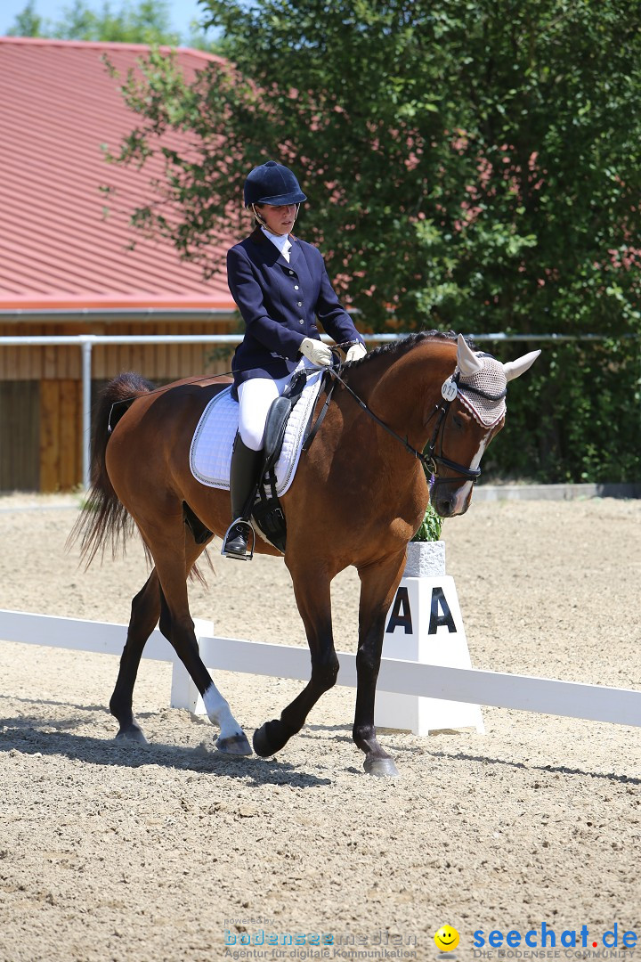 Reitturnier auf dem Ziegelhof in Dettingen-Wallhausen am Bodensee, 22.06.20