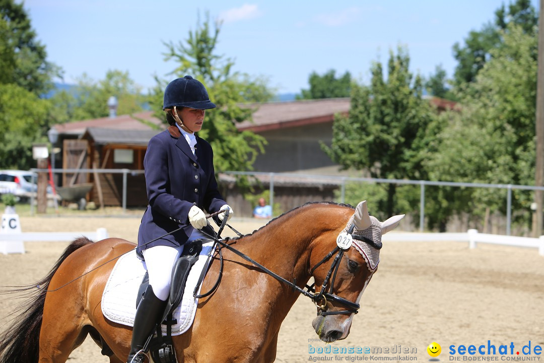 Reitturnier auf dem Ziegelhof in Dettingen-Wallhausen am Bodensee, 22.06.20