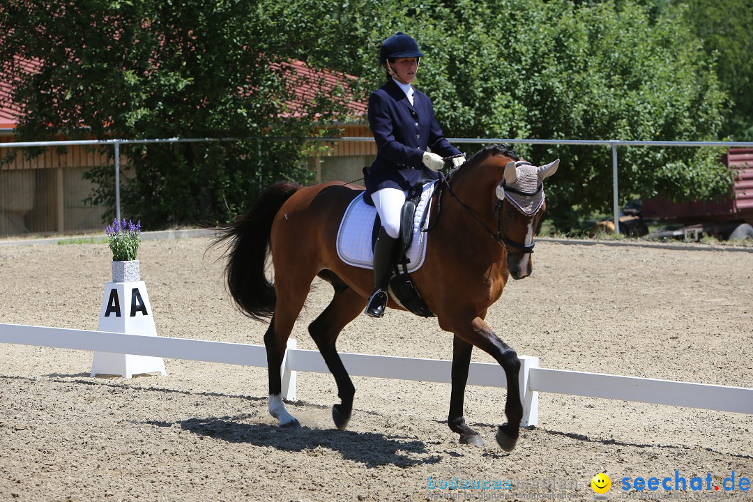 Reitturnier auf dem Ziegelhof in Dettingen-Wallhausen am Bodensee, 22.06.20