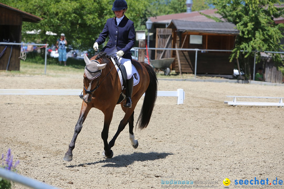 Reitturnier auf dem Ziegelhof in Dettingen-Wallhausen am Bodensee, 22.06.20