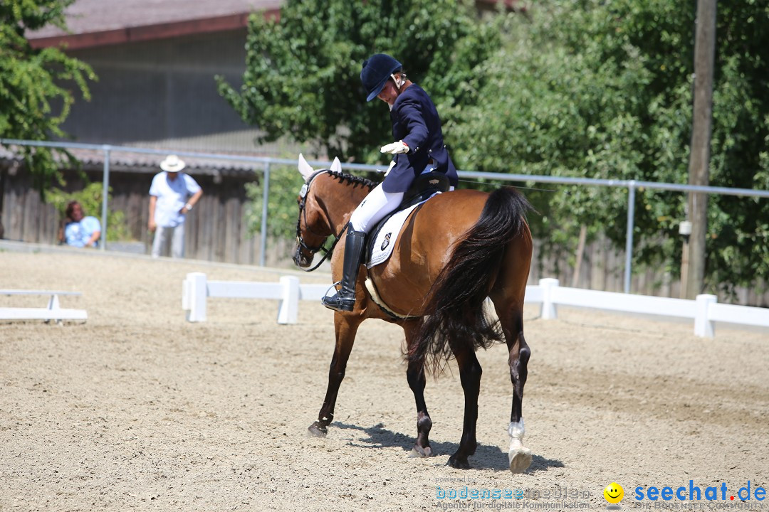 Reitturnier auf dem Ziegelhof in Dettingen-Wallhausen am Bodensee, 22.06.20