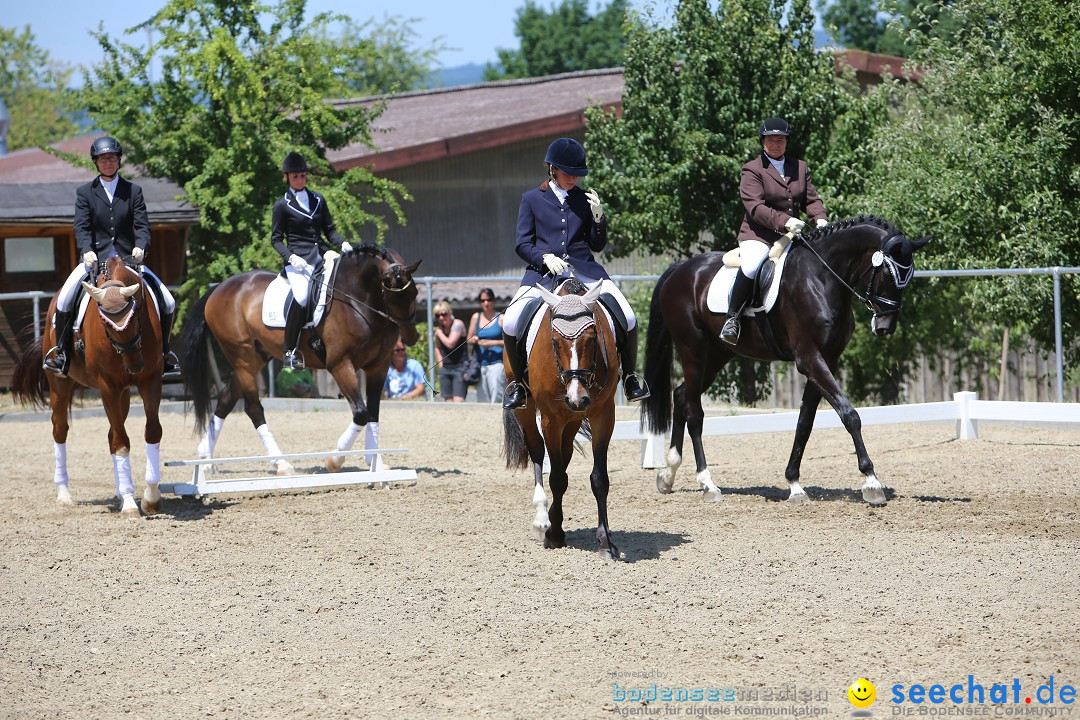 Reitturnier auf dem Ziegelhof in Dettingen-Wallhausen am Bodensee, 22.06.20