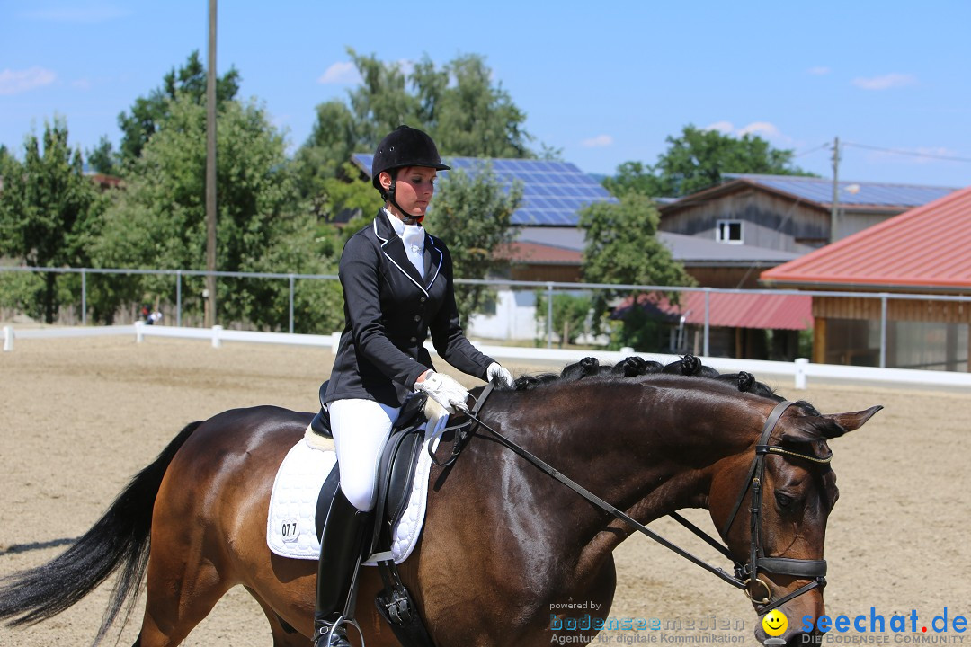 Reitturnier auf dem Ziegelhof in Dettingen-Wallhausen am Bodensee, 22.06.20