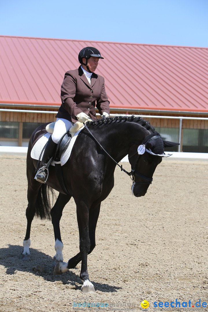 Reitturnier auf dem Ziegelhof in Dettingen-Wallhausen am Bodensee, 22.06.20