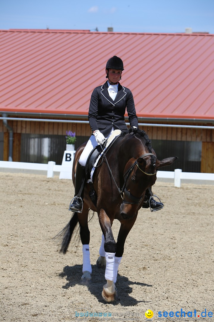 Reitturnier auf dem Ziegelhof in Dettingen-Wallhausen am Bodensee, 22.06.20