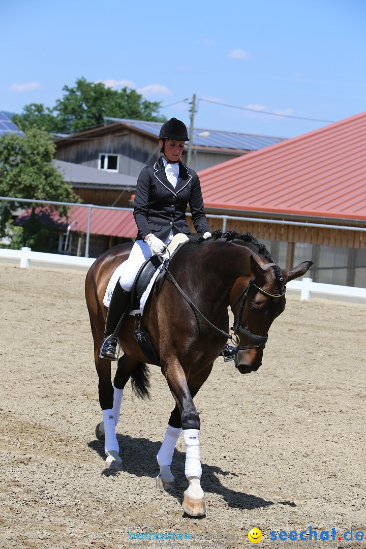 Reitturnier auf dem Ziegelhof in Dettingen-Wallhausen am Bodensee, 22.06.20