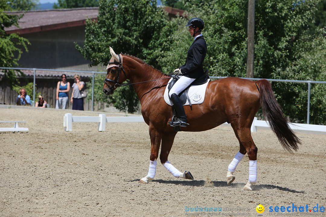 Reitturnier auf dem Ziegelhof in Dettingen-Wallhausen am Bodensee, 22.06.20