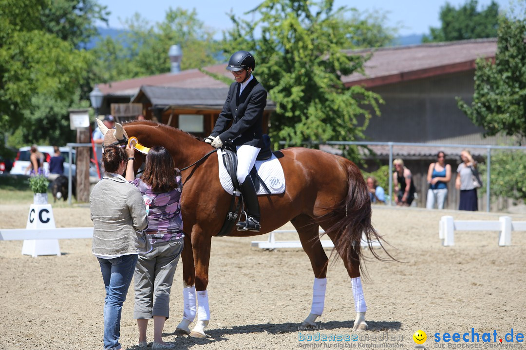 Reitturnier auf dem Ziegelhof in Dettingen-Wallhausen am Bodensee, 22.06.20