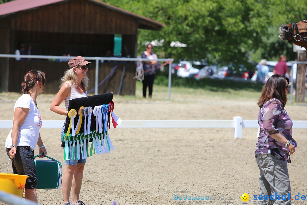 Reitturnier auf dem Ziegelhof in Dettingen-Wallhausen am Bodensee, 22.06.20