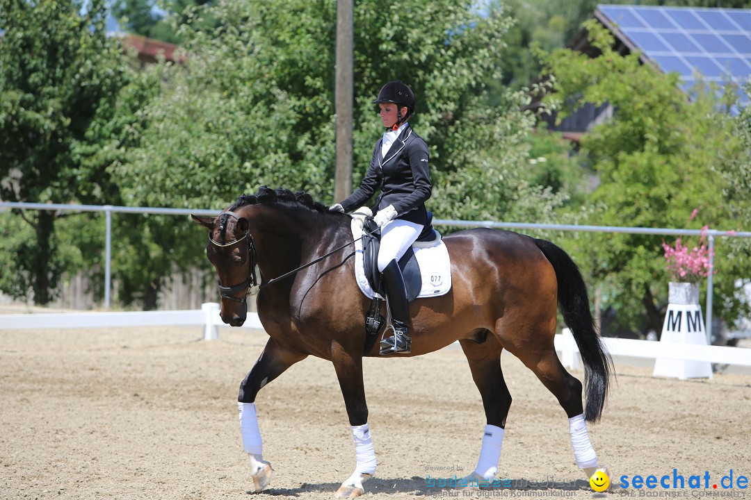 Reitturnier auf dem Ziegelhof in Dettingen-Wallhausen am Bodensee, 22.06.20