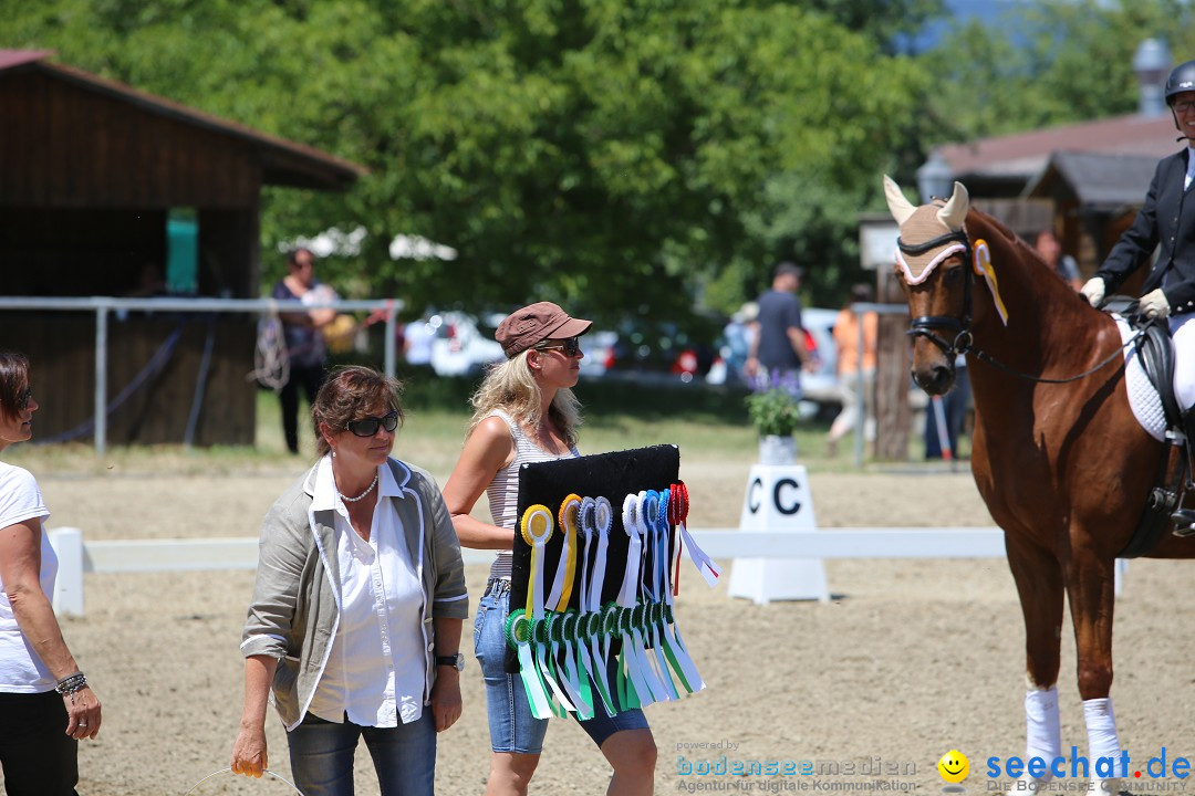 Reitturnier auf dem Ziegelhof in Dettingen-Wallhausen am Bodensee, 22.06.20