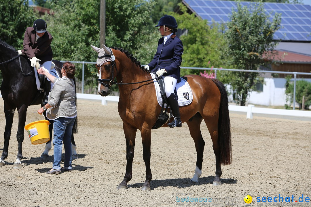 Reitturnier auf dem Ziegelhof in Dettingen-Wallhausen am Bodensee, 22.06.20