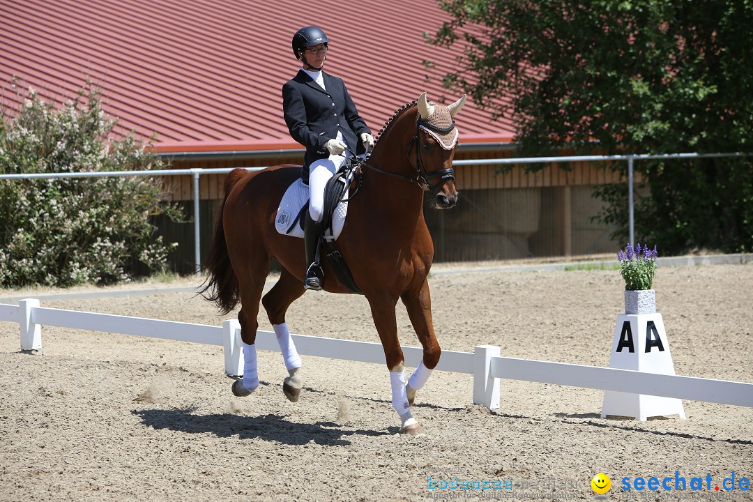 Reitturnier auf dem Ziegelhof in Dettingen-Wallhausen am Bodensee, 22.06.20