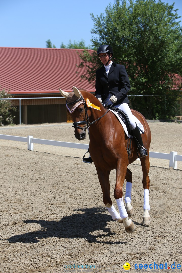 Reitturnier auf dem Ziegelhof in Dettingen-Wallhausen am Bodensee, 22.06.20