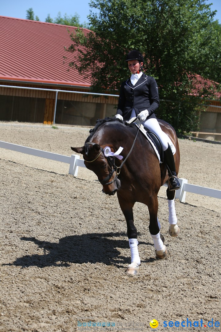 Reitturnier auf dem Ziegelhof in Dettingen-Wallhausen am Bodensee, 22.06.20