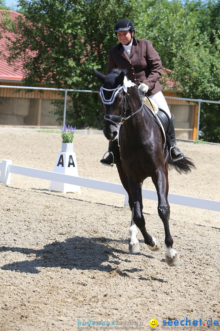 Reitturnier auf dem Ziegelhof in Dettingen-Wallhausen am Bodensee, 22.06.20