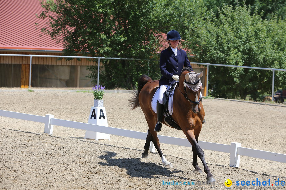 Reitturnier auf dem Ziegelhof in Dettingen-Wallhausen am Bodensee, 22.06.20