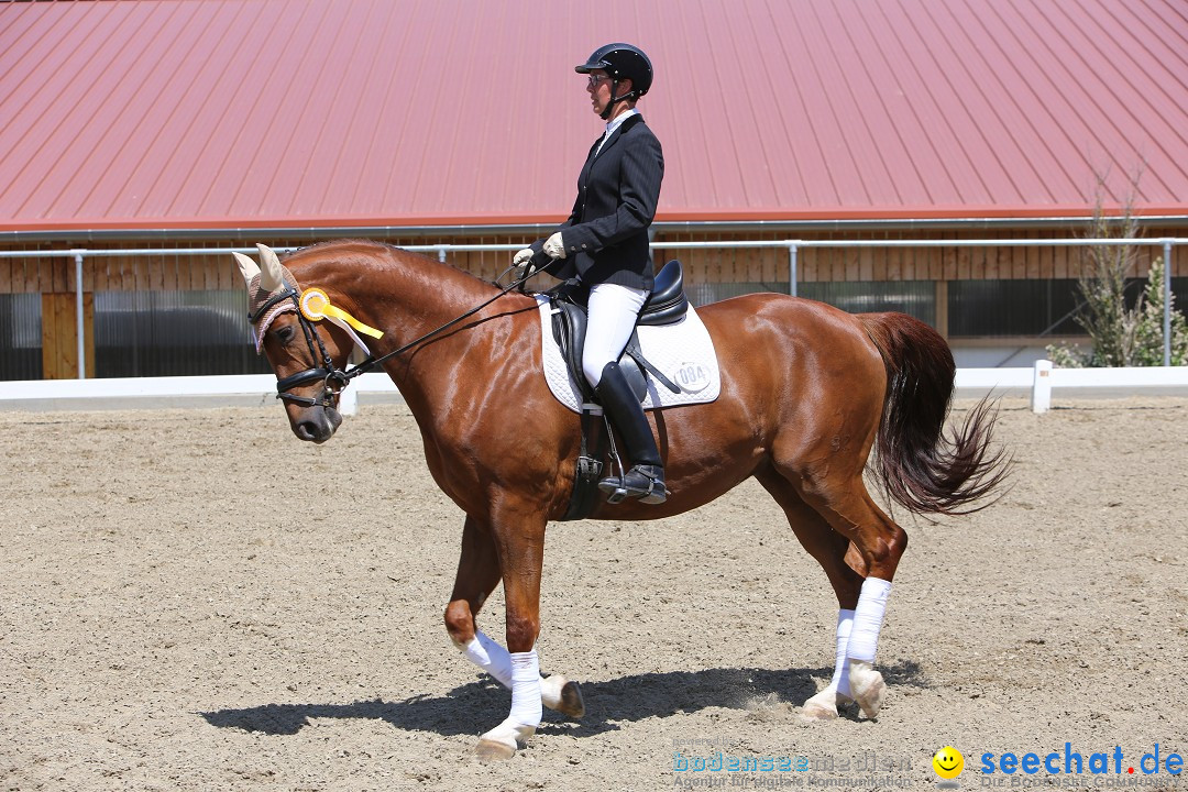 Reitturnier auf dem Ziegelhof in Dettingen-Wallhausen am Bodensee, 22.06.20